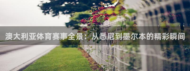 澳大利亚体育赛事全景：从悉尼到墨尔本的精彩瞬间