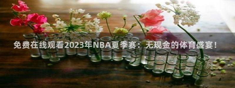 免费在线观看2023年NBA夏季赛：无现金的体育盛宴！