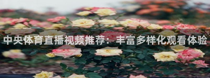 中央体育直播视频推荐：丰富多样化观看体验