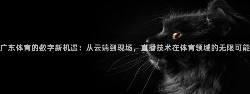 广东体育的数字新机遇：从云端到现场，直播技术在体育领域的无限可能