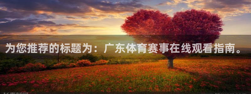 为您推荐的标题为：广东体育赛事在线观看指南。