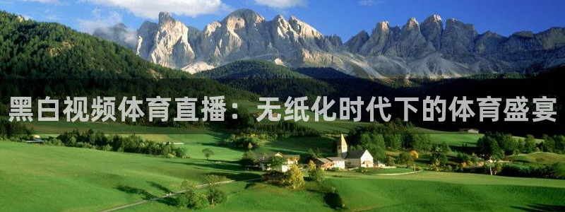 黑白视频体育直播：无纸化时代下的体育盛宴