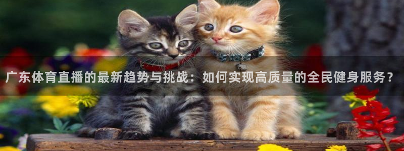 广东体育直播的最新趋势与挑战：如何实现高质量的全民健身服务？